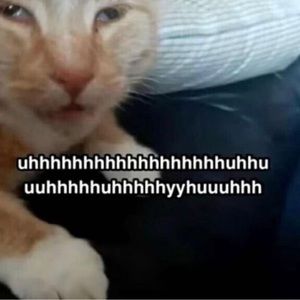 Meet your Posher, Gabby